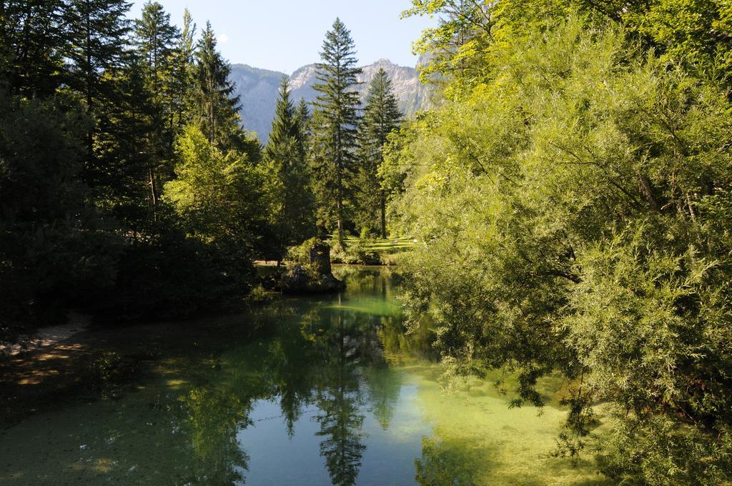 Apartment Dijak Bohinj Bagian luar foto