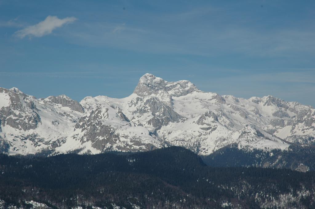 Apartment Dijak Bohinj Bagian luar foto