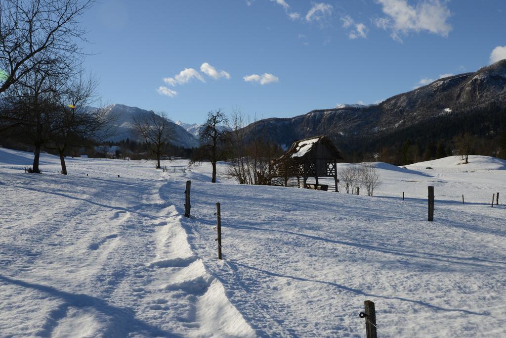 Apartment Dijak Bohinj Bagian luar foto