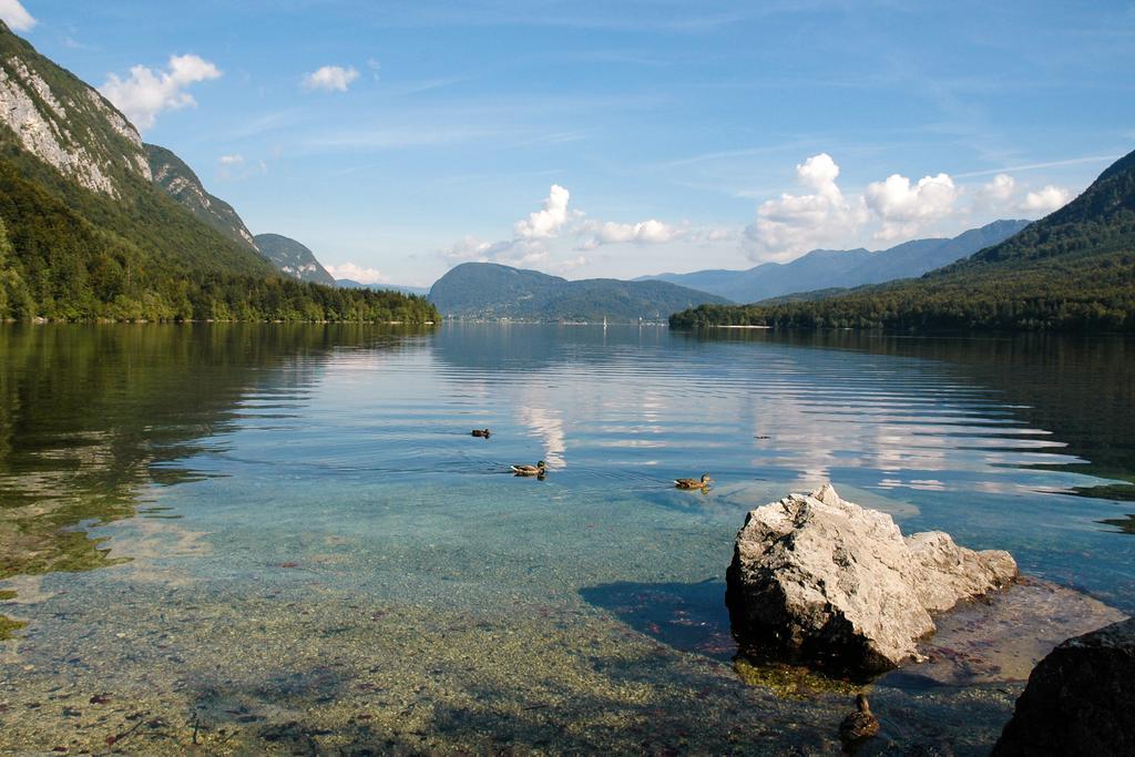 Apartment Dijak Bohinj Bagian luar foto